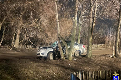 В Самаре 21-летний мужчина на "Гранте" врезался в дерево