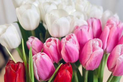 Название статьи