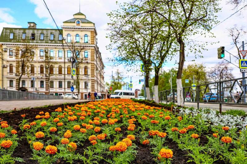 В Самаре хотят высадить 38 тысяч квадратных метров цветников в 2022 году