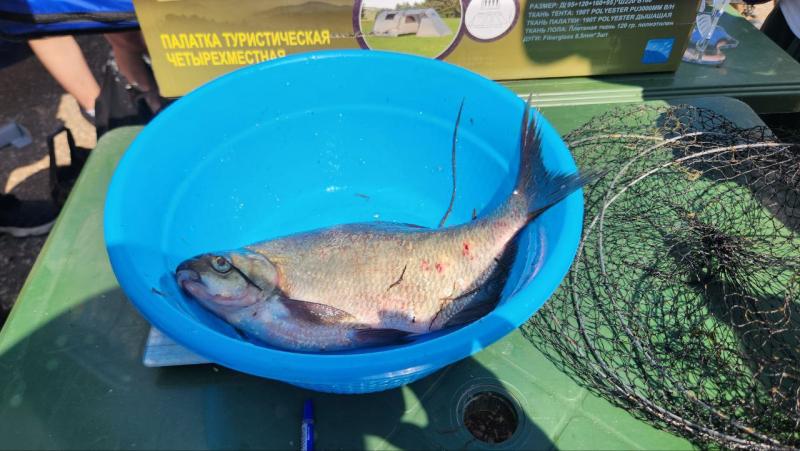 На большую семейную рыбалку  в Усть-Кинельском собралось две сотни участников