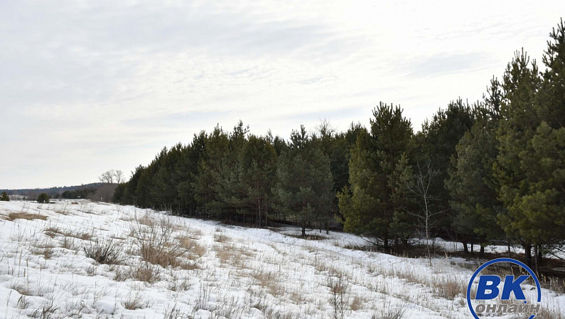 6 марта в истории и архиве "ВК"