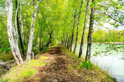 Иммунолог Екатерина Чернышова рассказала, как справиться с весенней аллергией