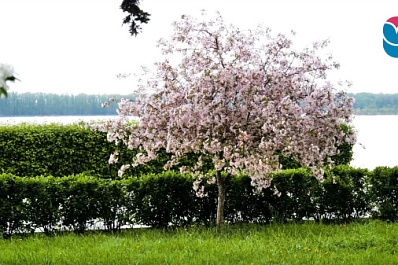 Уже витает в воздухе: жителям Самарской области показали весенние виды губернии