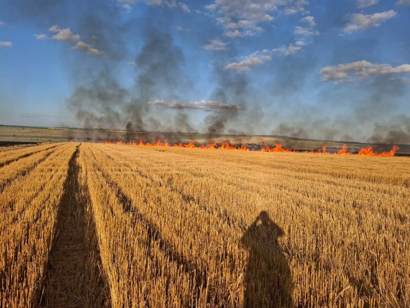 В Самарской области сгорело 800 "квадратов" поля