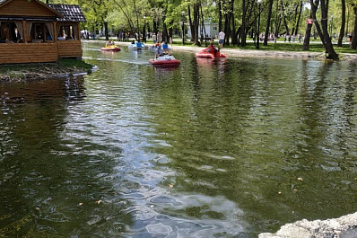 Утиное озеро в парке им. Гагарина пересохло