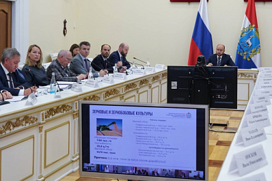 Под будущий урожай: аграрии Самарской области получат дополнительную поддержку