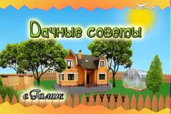Дачные советы 19.11.2015 
