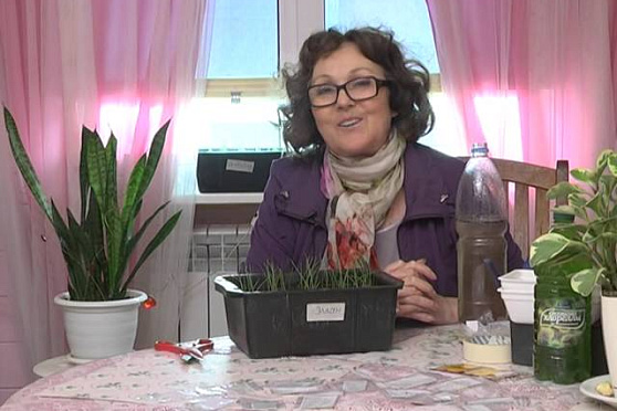 Дачные советы 26.02.2015 