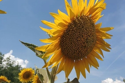 Название статьи