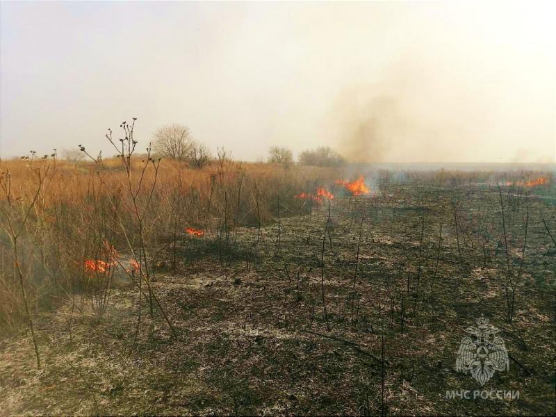 В Самарской области за сутки произошло 44 пожара из-за пала сухой травы