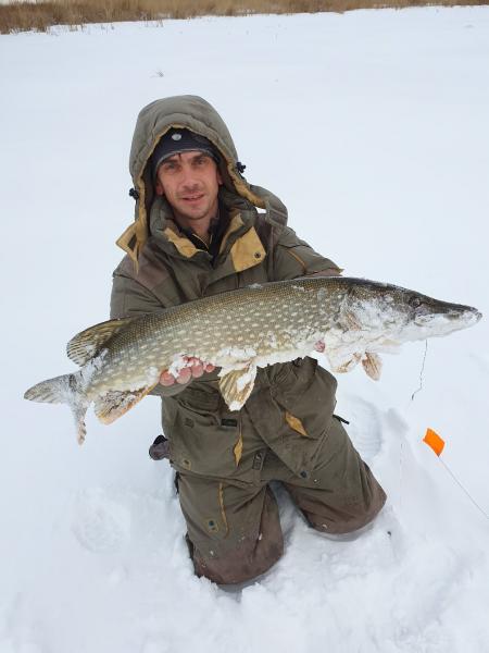Рыбаки из Самары выложили из пойманных щук поздравление с Новым годом
