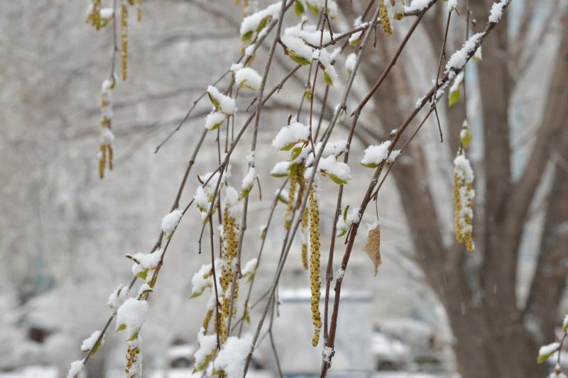 Ниже нуля: когда в Самарской области наступит устойчивый "минус"