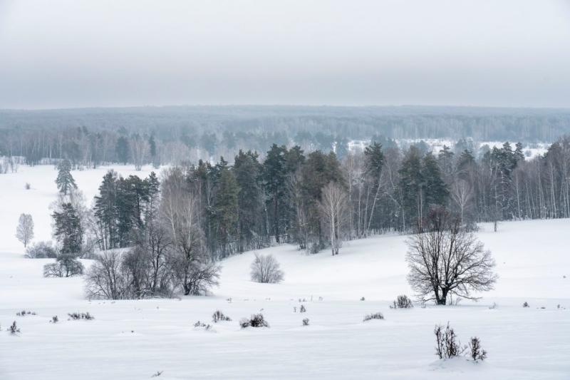 Еще 60 памятников природы региона под двойной защитой