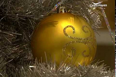 В городской думе установили Ёлку желаний