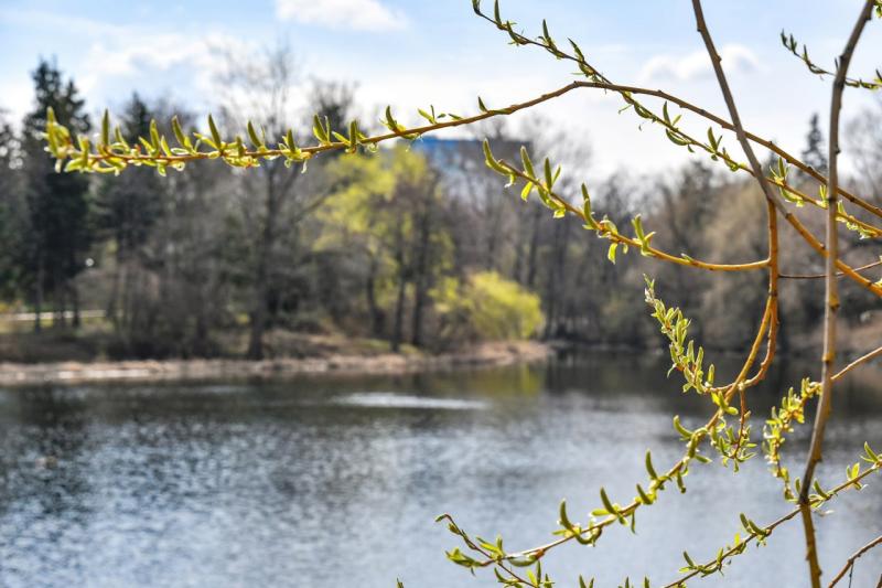 Погода на 23 апреля 2025 года: народные приметы и прогноз синоптиков