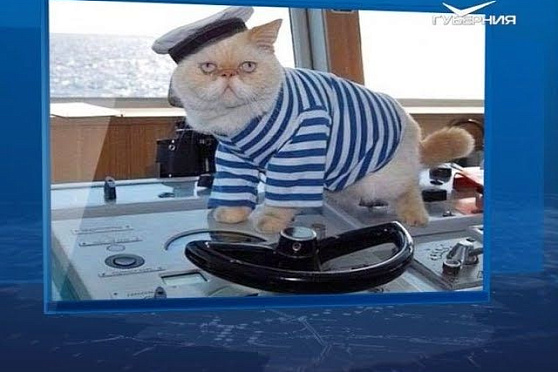 Календарь губернии от 19.08.2018