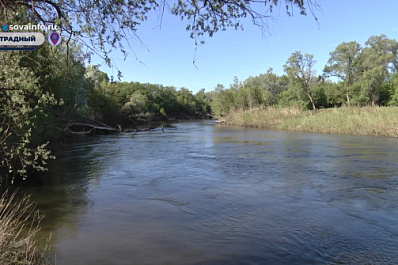 Самарская область присоединилась к "Марафону зеленых дел"