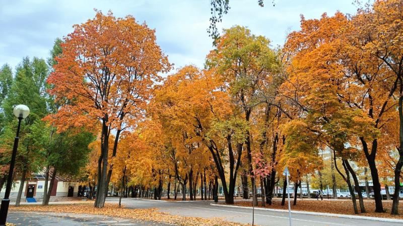 Погода на 15 октября 2025 года: народные приметы и прогноз синоптиков