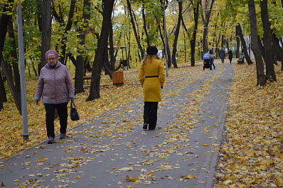 Новокуйбышевцы оценили обновлённый парк "Патриот - Солдатский лес"