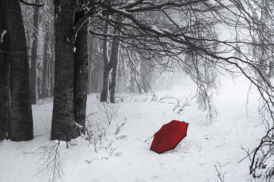 Рядом с Самарой обнаружили свалку из нераспроданных ёлок