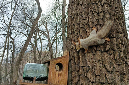 Название статьи