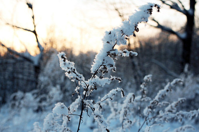 В Самарской области из-за сильных морозов объявлен оранжевый уровень опасности