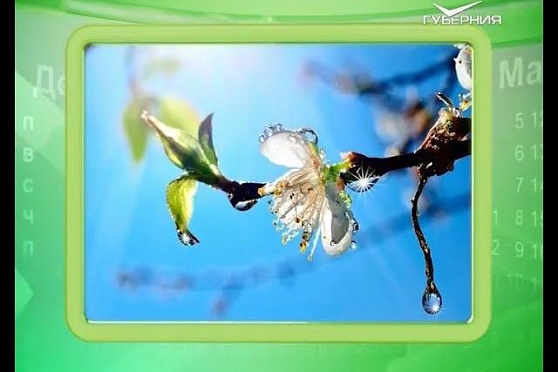 Календарь губернии 12.03.2016