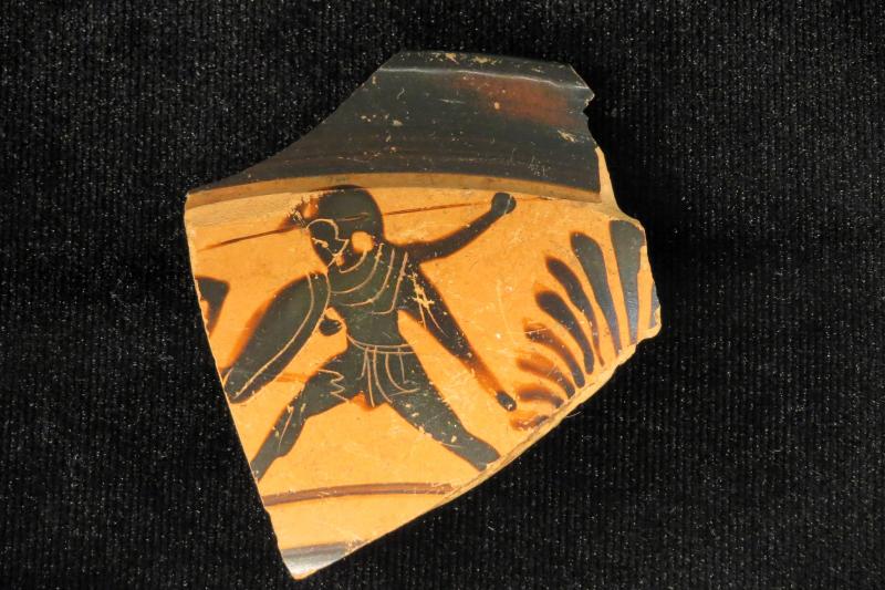 Античность на Волге: в Самаре проходит выставка, посвященная древней Фанагории