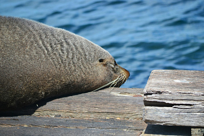 Название статьи