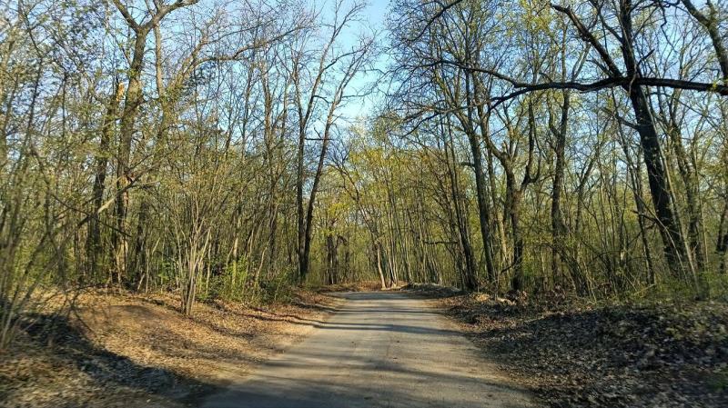 В Самарской области объявили высокий риск возникновения лесных пожаров