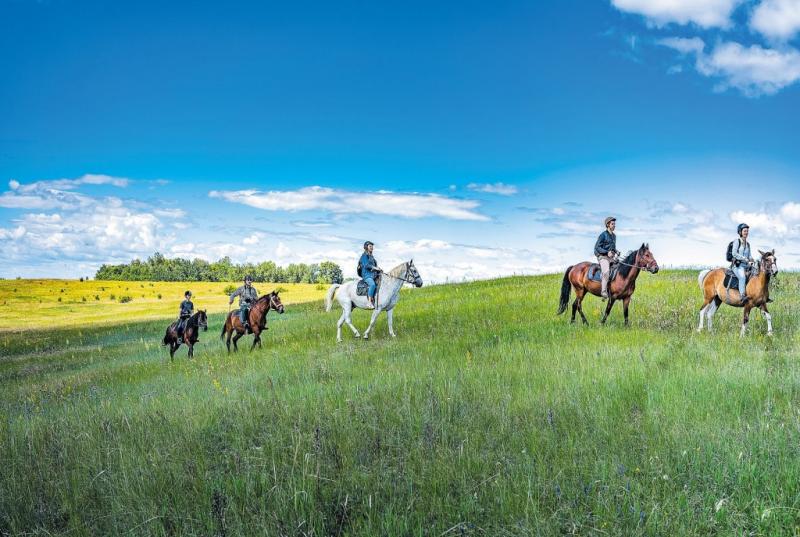 Как поддержка властей способствует развитию отрасли гостеприимства