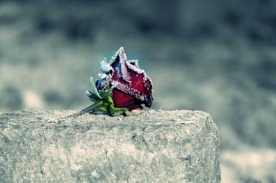 В Сызрани братья подрались на свежей могиле отца