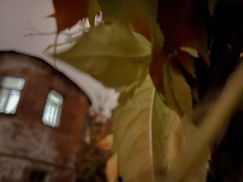 Редкие дожди и "плюс": прогноз погоды на осенние каникулы в Самарской области