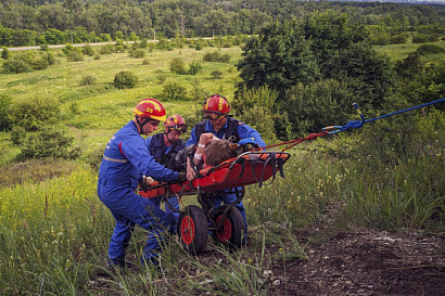 Название статьи