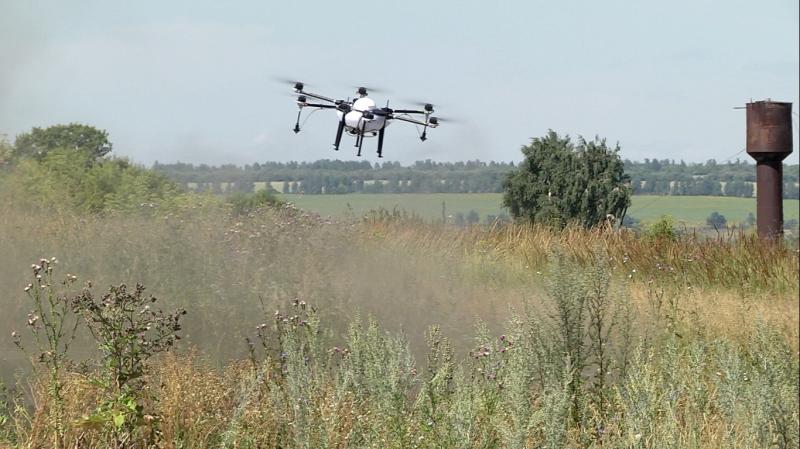В борьбу с карантинными растениями в Самарской области вступают дроны