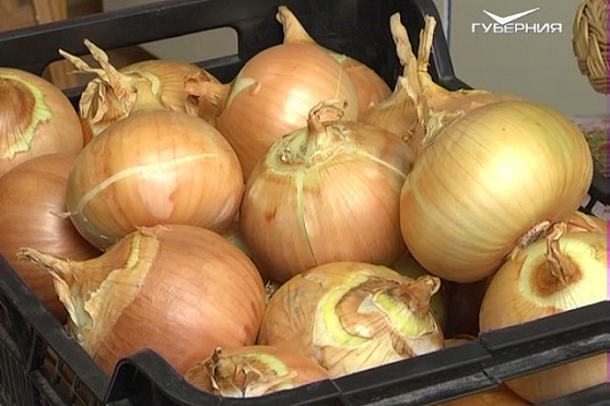 Дачные советы 09.02.2017. Репчатый лук