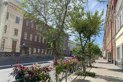 В Самаре на Куйбышева высадят новые кустарники и деревья