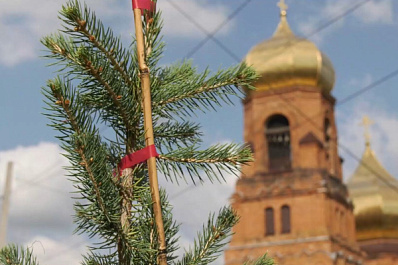 В селе Курумоч высадили деревья в честь погибших участников СВО