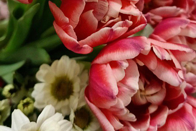 Цветовод Николай Горохов рассказал, насколько подорожали букеты перед 8 Марта