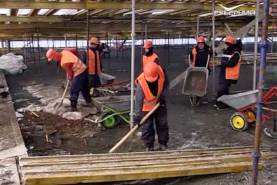 Газон для стадиона Самара Арена выращивают в Германии