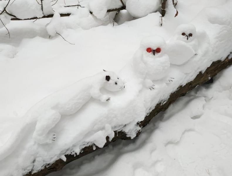 Совята, медведь и выдра: в Сызрани появился снежный "скульптор"