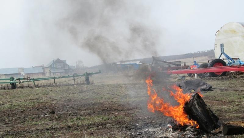 Жители Самарской области стали чаще жаловаться на соседей, жгущих траву