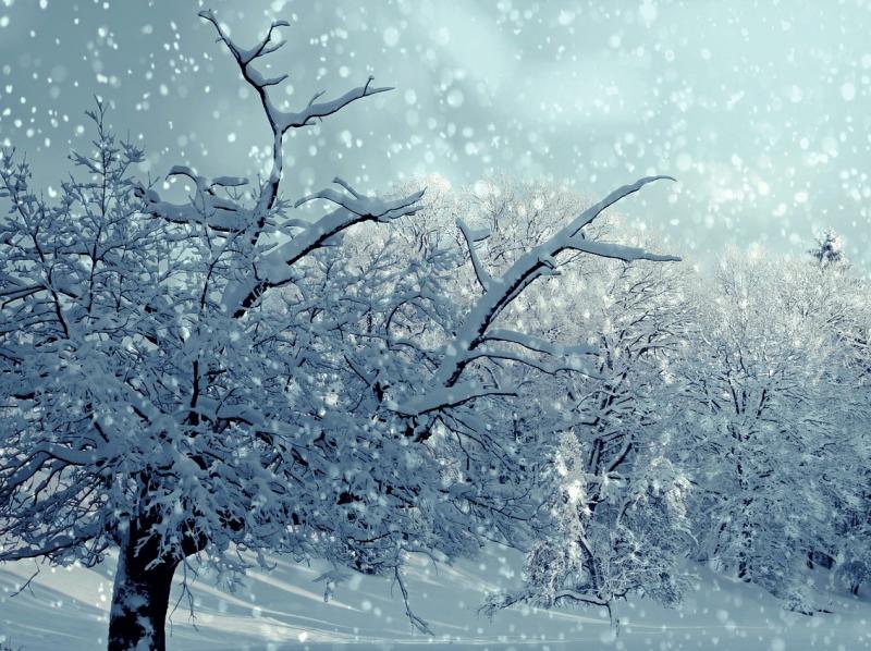 В выходные в Самарской области усилятся осадки и ветер 