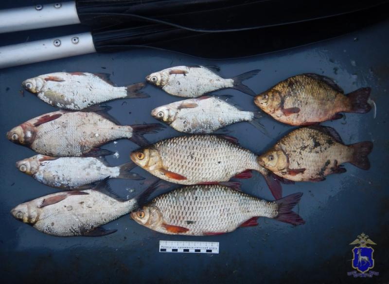 В Самарской области будут судить двух рыбаков