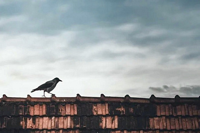 Жителям поселка Мирный помогли устранить коммунальную проблему 