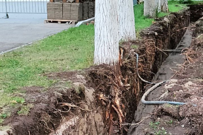 Самарцы обеспокоились судьбой деревьев в парке Победы
