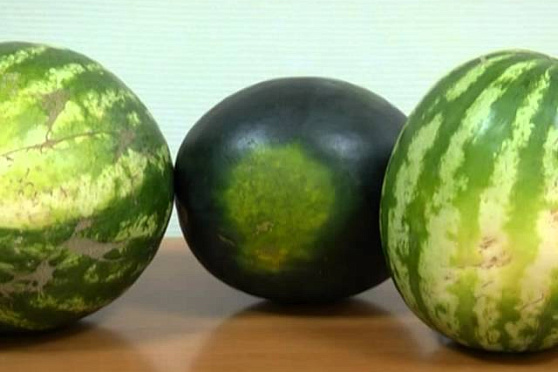 Сохраняйте чек 24.08.2014