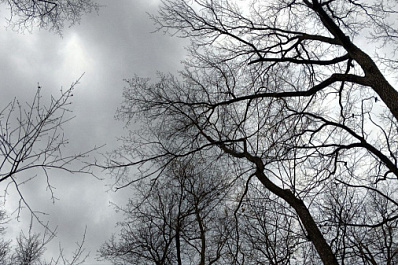 Ветер и +21 °С: стало известно, какая будет погода в Самарской области 8 апреля