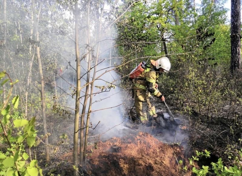 В Тольятти 24 мая загорелась сухая трава