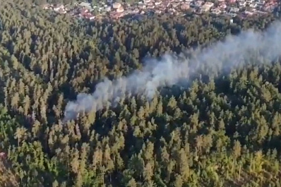 В Тольятти утром 1 сентября 2021 года дважды горел лес